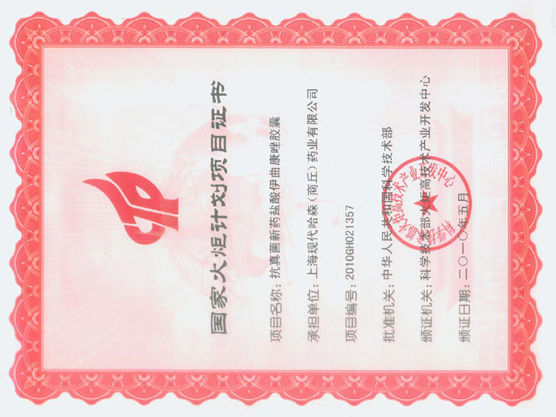 National Torch Program project certificate